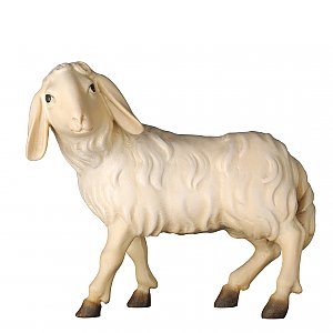 20DA155017016 - Schaf stehend