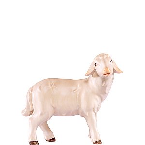 DU4551Natur30 - Schaf stehend Artis
