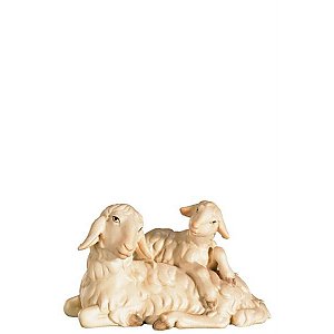 FL425443Zwei0geb17 - A-Schaf liegend mit Lamm am Rücken