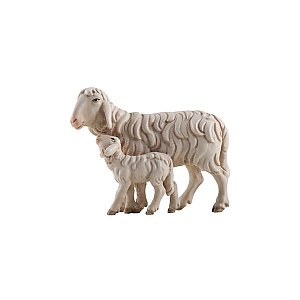 IE052070Natur8 - IN Schaf laufend mit Lamm
