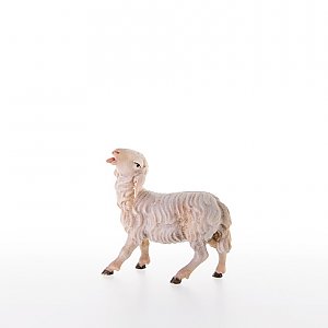 LP21203-AColor12 - Schaf mit erhobenen Kopf