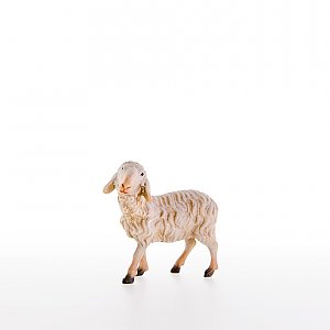 LP21205-AZwei0geb2 - Schaf stehend