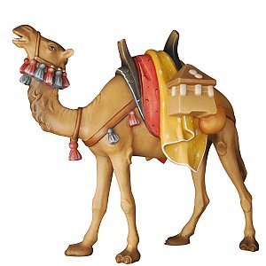 20DA155034 - Camel
