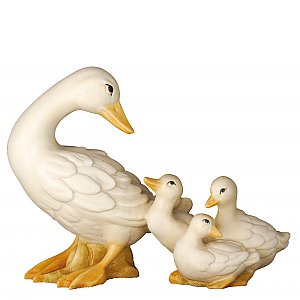 20DA155043 - Goose with chicks