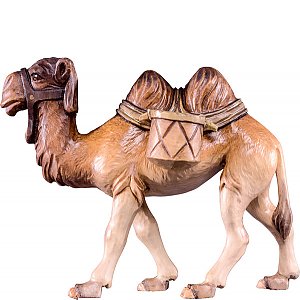DU4295 - Camel T.K.