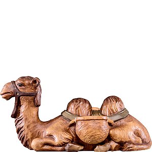 DU4296 - Camel lying T.K.