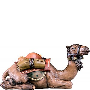 DU4496 - Camel lying R.K.