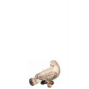 FL426581 - O-Dove looking backwards
