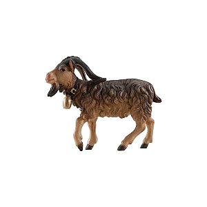 IE051028Color25 - IN Billy goat