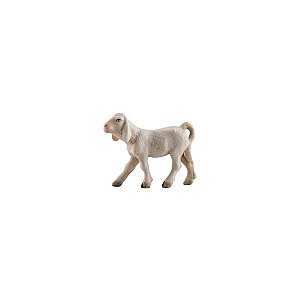 IE051056Color25 - IN Lamb left