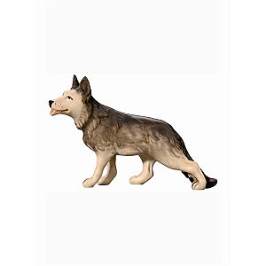 IE051061Color25 - IN Shepherd dog