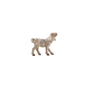 IE052055Color10 - IN Lamb right