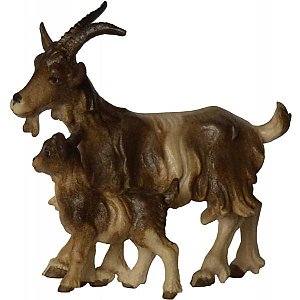 JM8050Natur9 - Goaat with young goat