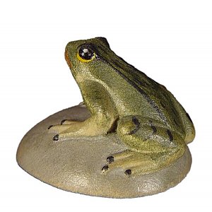 JM8104 - Frog on stone