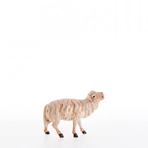 LP21104Zwei0geb13 - Sheep bleating