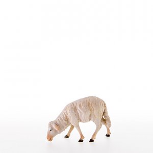LP21107Zwei0geb20 - Sheep grazing