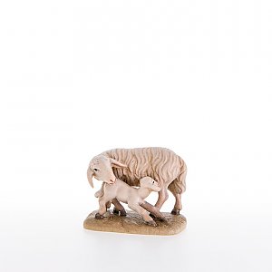 LP21200Zwei0geb20 - Sheep with lamb