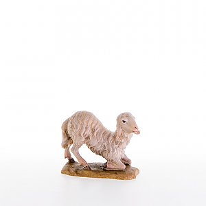 LP21204Zwei0geb13 - Sheep kneeling