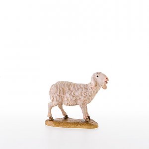 LP21206Natur20 - Sheep standing