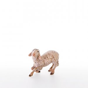LP21209-AColor20 - Sheep kneeling
