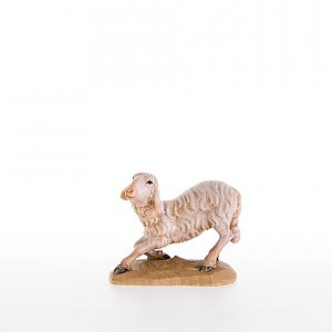 LP21209Zwei0geb10 - Sheep kneeling