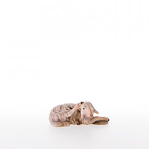 LP21210-AZwei0geb2 - Sheep lying-down