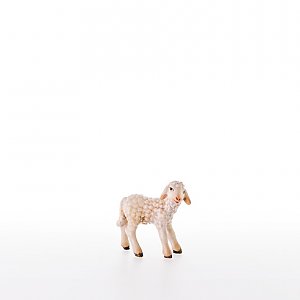 LP21287-ANatur20 - Lamb standing