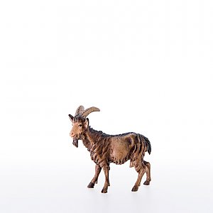 LP21300-ANatur20 - Goat