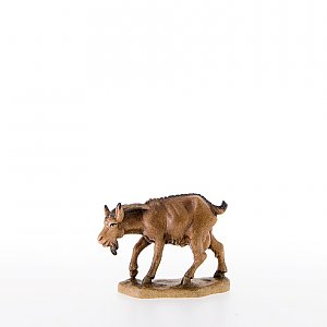 LP21302Zwei0geb13 - Goat with its head down