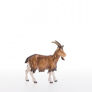 LP21305-AColor12 - Goat
