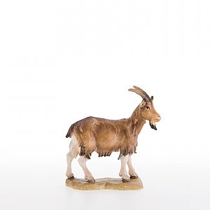 LP21305Color12 - Goat