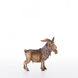 LP21378Zwei0geb13 - He-goat