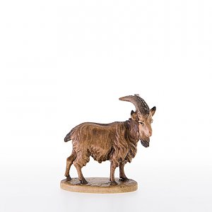 LP21379Antik50 - He-goat