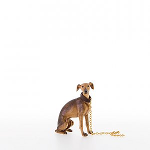 LP22056-ANatur10 - Sitting hreyhound