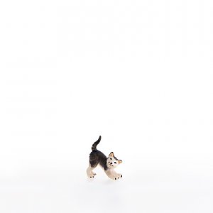 LP22103-ANatur8 - Little cat purring
