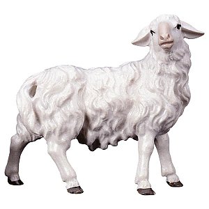 UP780163Color8 - SH Sheep looking rightward