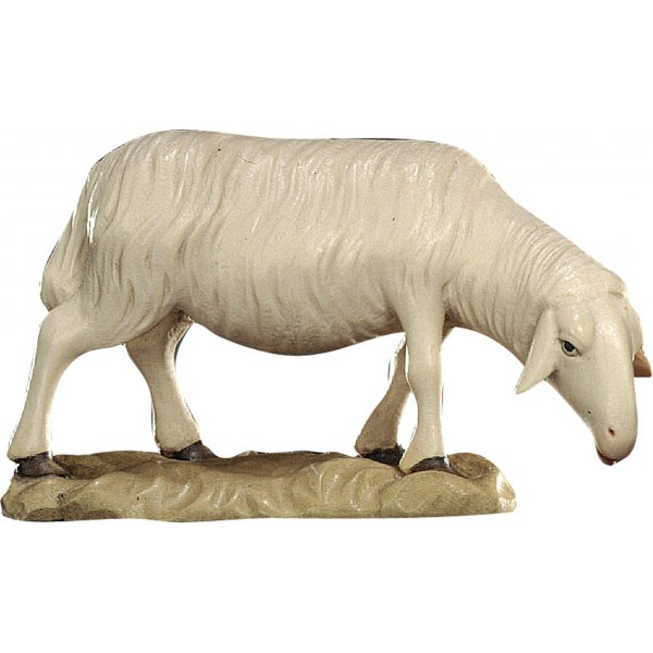 20DA150016 - Sheep grazing