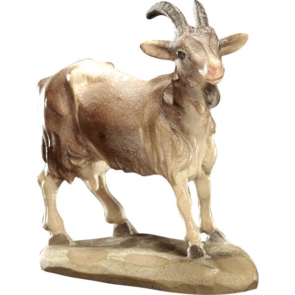 20DA150031 - Goat