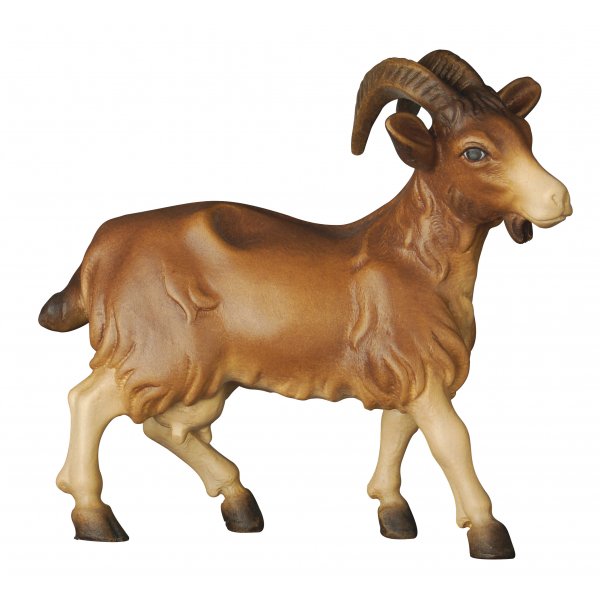 20DA155022 - Goat