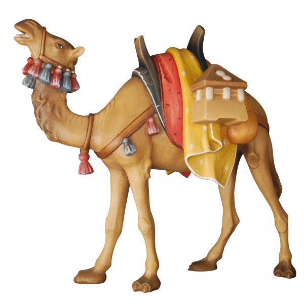 20DA155034 - Camel