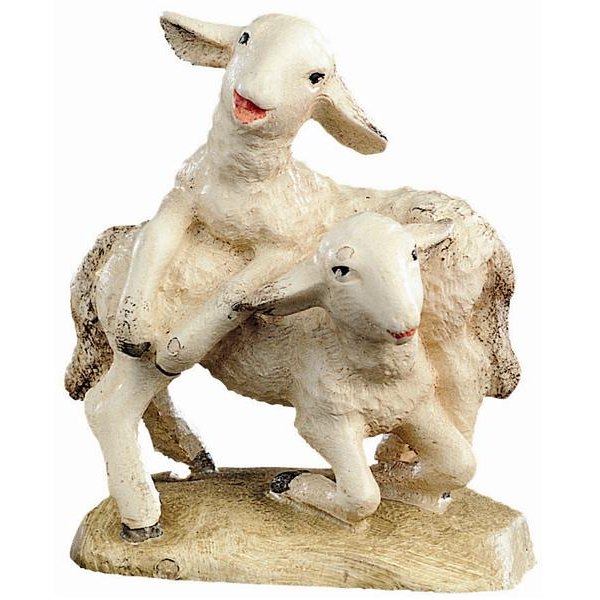 BH2036 - Sheeps playing