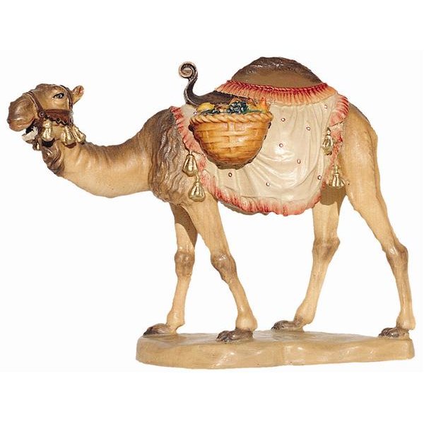 BH2070 - Camel