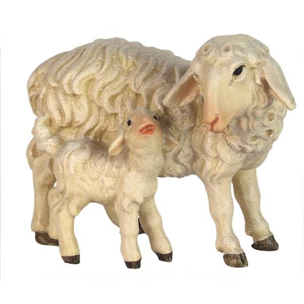BH5037 - Sheep standing with lamb