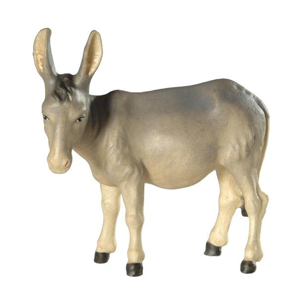 BH5041 - Donkey 