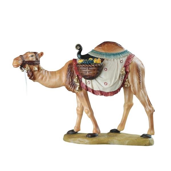 BH5070 - Camel