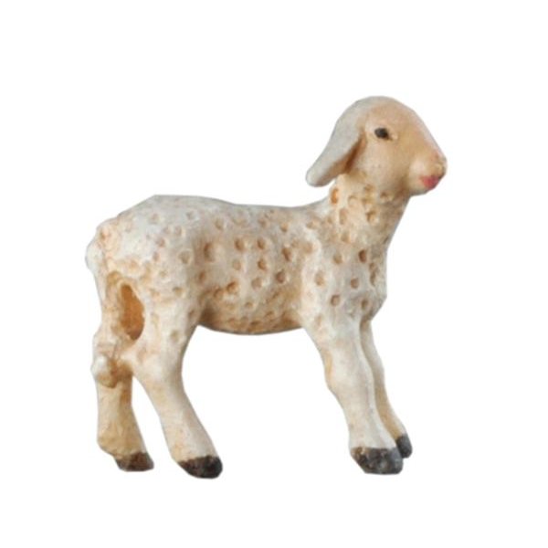 BH5093 - Lamb