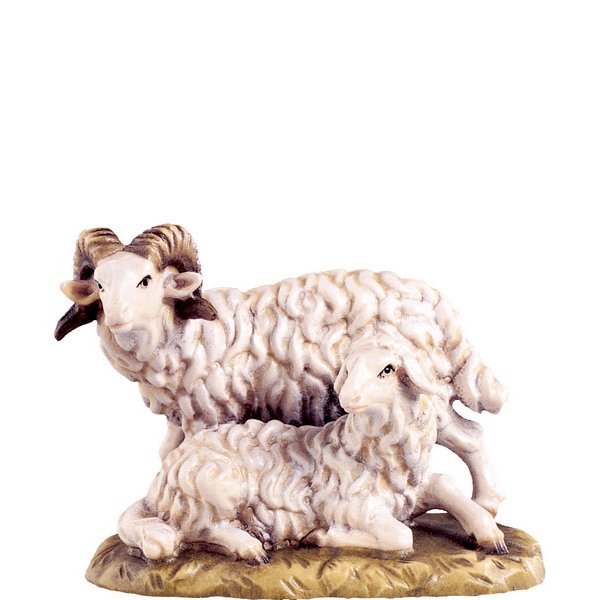 DU4049 - Ram with sheep B.K.