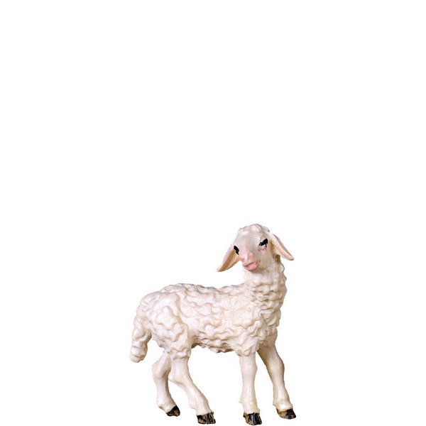 DU4062 - Lamb standing B.K.