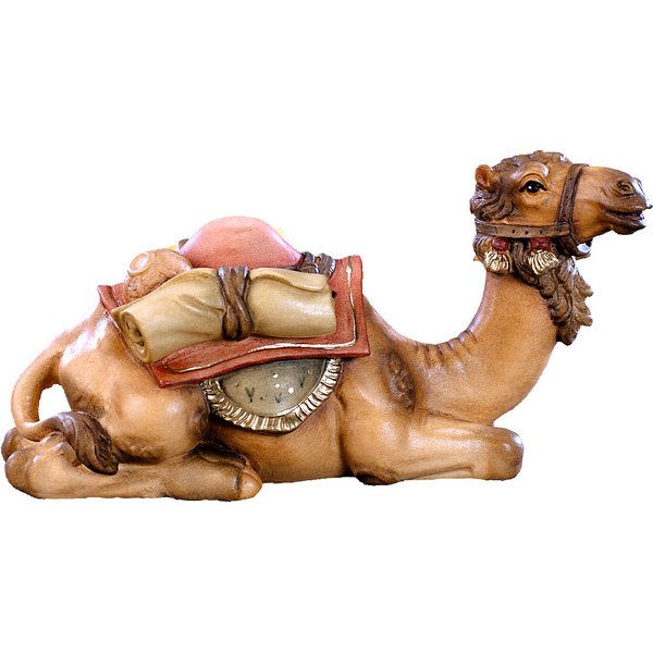DU4096 - Camel lying B.K.