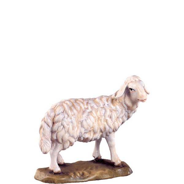 DU4141 - Sheep standing D.K.